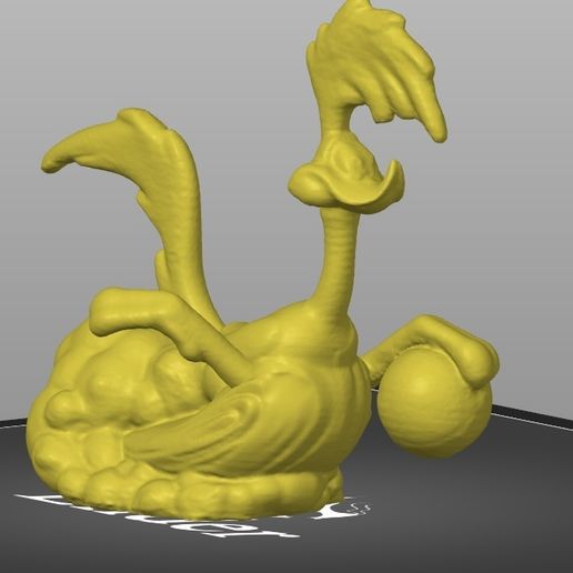 road-runner-v2.jpg road runner