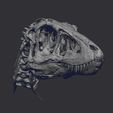 ZBrush Document3.jpg Life size baby T-rex skeleton - Part 01/10