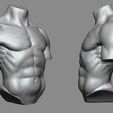 03.jpg Torso reference