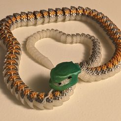 Serpiente y cascabel