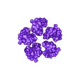 6n2y_c_even.stl Structure of a bacterial ATP synthetase. PDB:ID 6N2Y