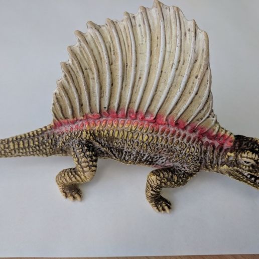 Dimetrodon Dinosaur 3D model