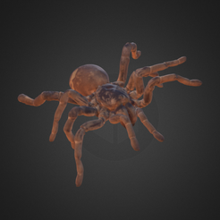 Capture d’écran 2017-12-14 à 15.56.39.png Free OBJ file King Baboon Tarantula・3D printable object to download