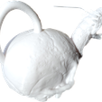 Clipped_image_20231022_155854.png Skull teapot