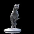untitled.8.jpg Carnotaurus sastrei