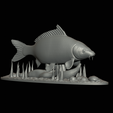 carp-high-quality-klacky-1-14.png big carp 2.0 underwater statue detailed texture for 3d printing