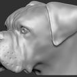 15.jpg Boxer dog for 3D printing