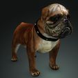 0.jpg DOWNLOAD BULLDOG 3d model - animated for - MAYA - BLENDER 3 - 3DS MAX - UNITY - UNREAL - CINEMA 4D - 3D printing  DINOSAUR CANINR LABRADOR RAPTOR PREDATOR PE HUNTER PLUSH PET HOUSE HOME GARDEN PROTECTOR PET MAN BOY CHILDREN RAPTOR