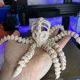 zz.jpg Octopus Skeleton Articulated Flexi Toy