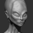 Cattura6.PNG Alien Bust Figurine Reproduction Alien found in the 50s in South America