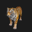 00O.png TIGER DOWNLOAD Bengal TIGER 3d model animated for blender-fbx-unity-maya-unreal-c4d-3ds max - 3D printing TIGER CAT CAT