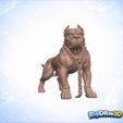 jpg_frame_16.jpg Chained Pitbull Spiked Collar Statue – RDW3D-QV8B0