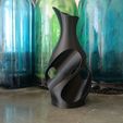 IMG_20240627_114315.jpg Twist Harmony Vases 4