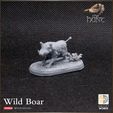 720X720-release-boar-4.jpg Wild Boar with Forest base - The Hunt