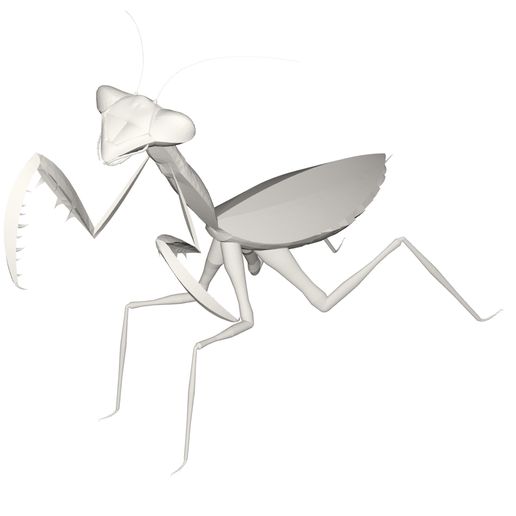 10000.jpg Wild animals