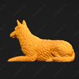 1651-Belgian_Shepherd_Dog_Laekenois_Pose_09.jpg Belgian Shepherd Dog Laekenois Dog 3D Print Model Pose 09