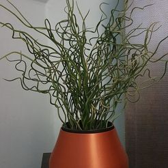 20201104_164526.jpg Fichier 3D gratuit Vase avec insertion de plantes・Idée pour impression 3D à télécharger