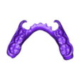 789513050_20240305_1110_Tech_01_An_D_st_A2_D_ČSN_2_Monoblock_Print.stl DIGITAL LOWER PARTIAL REMOVABLE DENTURE + 3D MODELS !