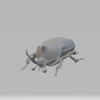 4.png Beetle 3d model 3D print model