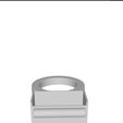 1882.jpg Hand feeding bird feeder ring - for bird taming