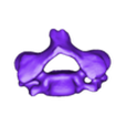 С_4.stl Archivo STL El modelo de la columna cervical C1-C7 con una parte del cráneo・Modelo para descargar y imprimir en 3D