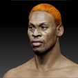 Dennis_0004_Layer 16.jpg NBA Dennis Rodman bust