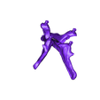 Stego_Pelvis.stl Free STL file Stegosaurus Skeleton・3D printing design to download