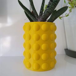mth STL file BUBBLE CACTUS POT WITH HIDDEN RESERVOIR・3D printer model to download