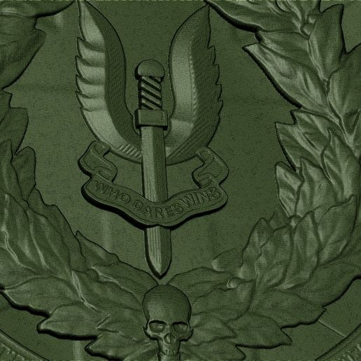 pic_1.jpg SAS Badge / Shield design