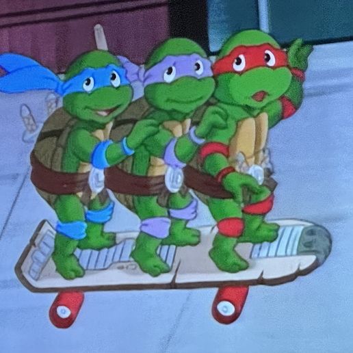 IMG_5078.jpeg Teenage Mutant Ninja Turtles Baby Turtles Accessory Set Skateboard