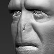 22.jpg Lord Voldemort bust ready for full color 3D printing