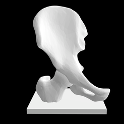 Screen-Shot-2023-02-03-at-4.20.57-PM.png 3D file Hip Joint with Right Humerus and Sacrum Anatomical Model for 3D printing with Stand・3D printer model to download