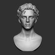 02.jpg Timothee Chalamet bust sculpture 3D print model
