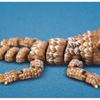 5bb33893-e1e5-4773-92b5-7e5db57aff8f.jpg Lagarto Flexi