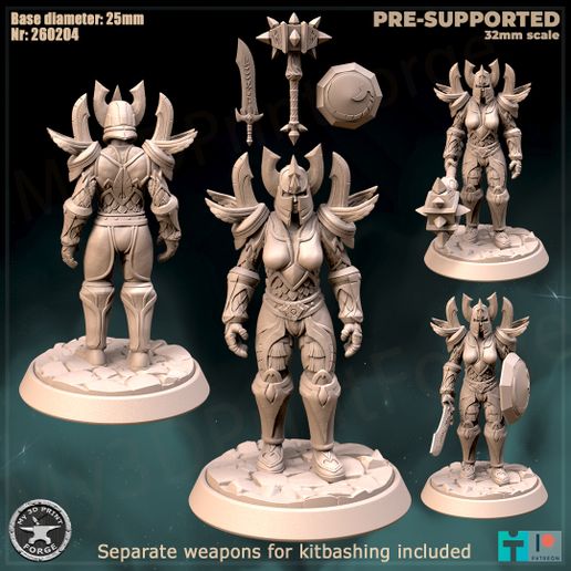 Female Paladin Tier1