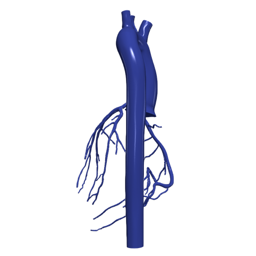 3.png 主动脉和冠状动脉 3D 模型 - 6 件装