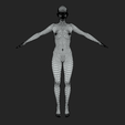 6.png Realistic Female Body Base