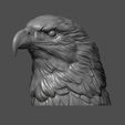4.jpg Eagle