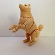 1645777468572.jpg Shiba inu BJD