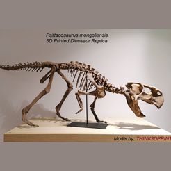 IMG_20220407_202246.jpg Fichier STL Squelette de dinosaure - Psittacosaurus V3・Plan à imprimer en 3D à télécharger