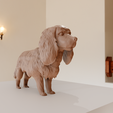 21.png cocker spaniel stl
