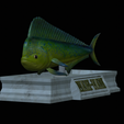 Base-mahi-mahi-3.png fish mahi mahi / common dolphin fish statue detailed texture for 3d printing