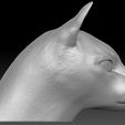 6.jpg Siamese Cat head for 3D printing