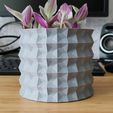 IMG_20220923_163624.jpg Chinese Origami Pot and Planter for house plants