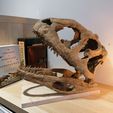 IMG_20210703_204635.jpg Majungasaurus Schädel 3D-Druck - Dinosaurier