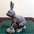 20230126_204659.jpg Rabbit of the year standing updated ver2!