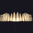 Screenshot-2024-11-20-235404.png All Collection For exocad