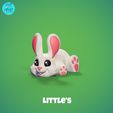Bunny_R2.jpg Flexi Little Bunny