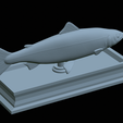 Salmon-statue-28.png Atlantic salmon / salmo salar / losos obecný fish statue detailed texture for 3d printing