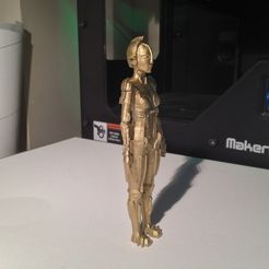 IMG_1840_display_large.jpg Free STL file Metropolis Robot (Maria)・3D printer model to download